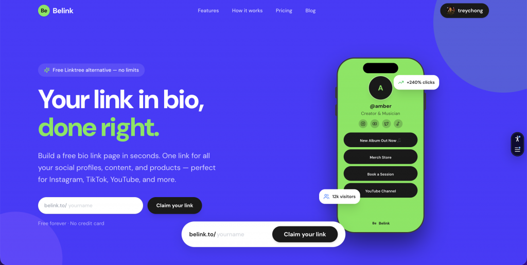 Belink homepage capture